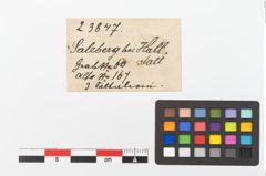 Etiketten zu Bronzespiralröhrchenanhänger (NHMW-PRAE-023847)